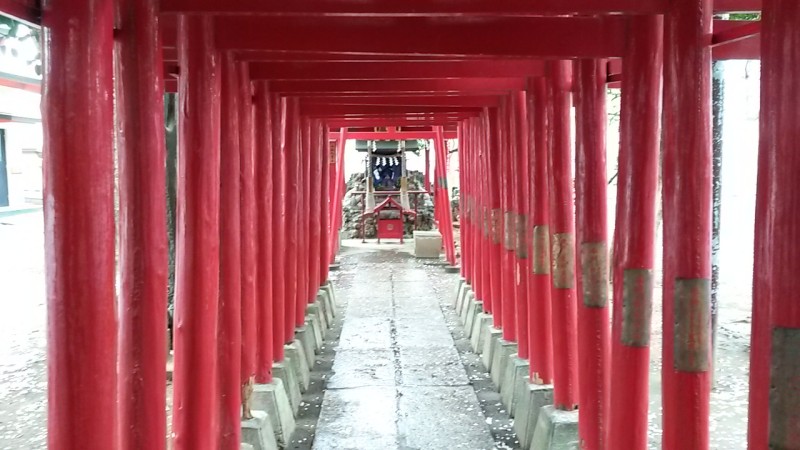 Torii at Hanazono, Shinjuku