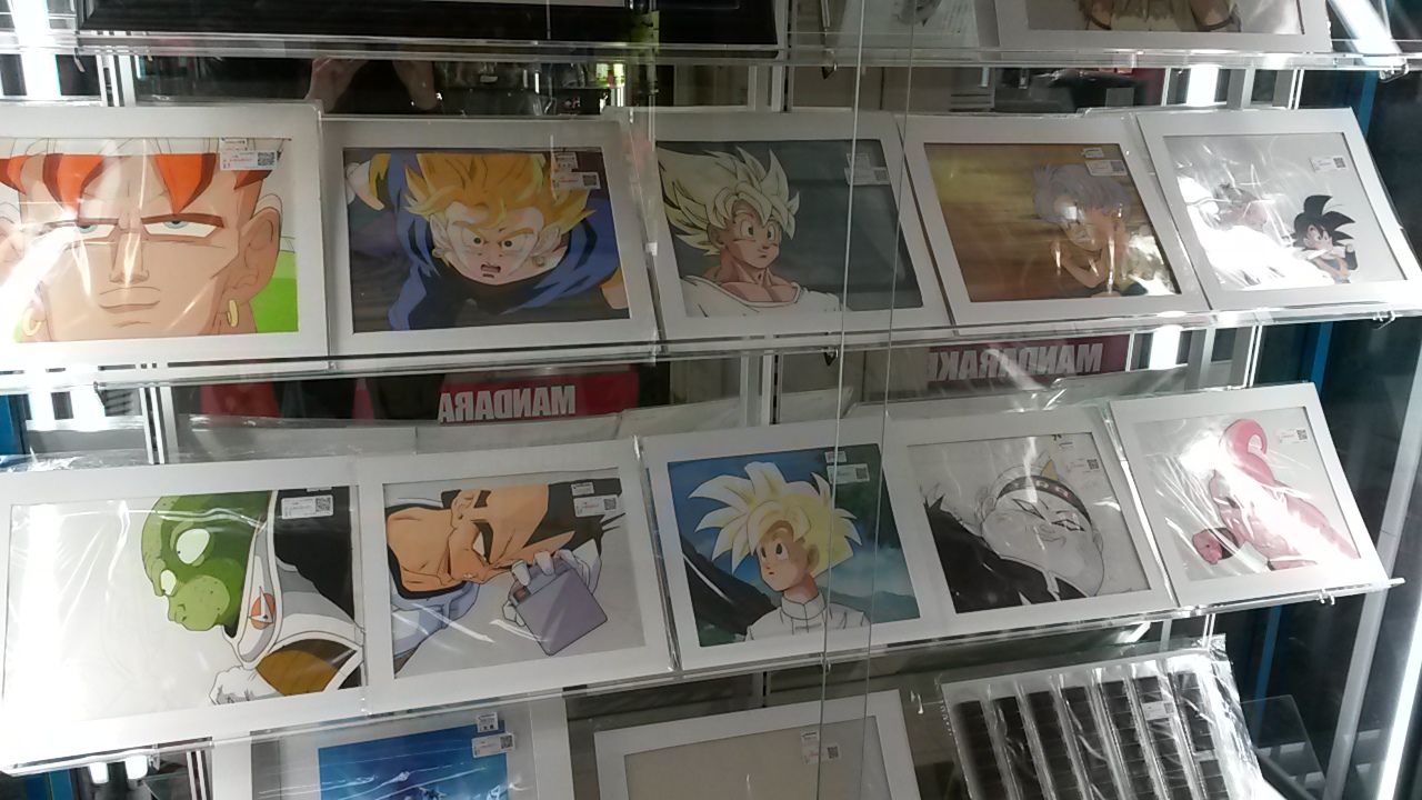 DBZ frames