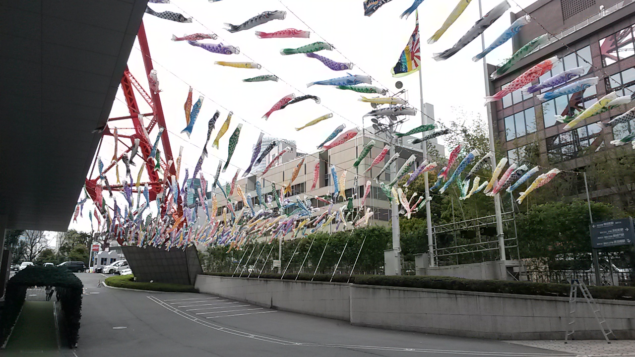 koinobori at the tower