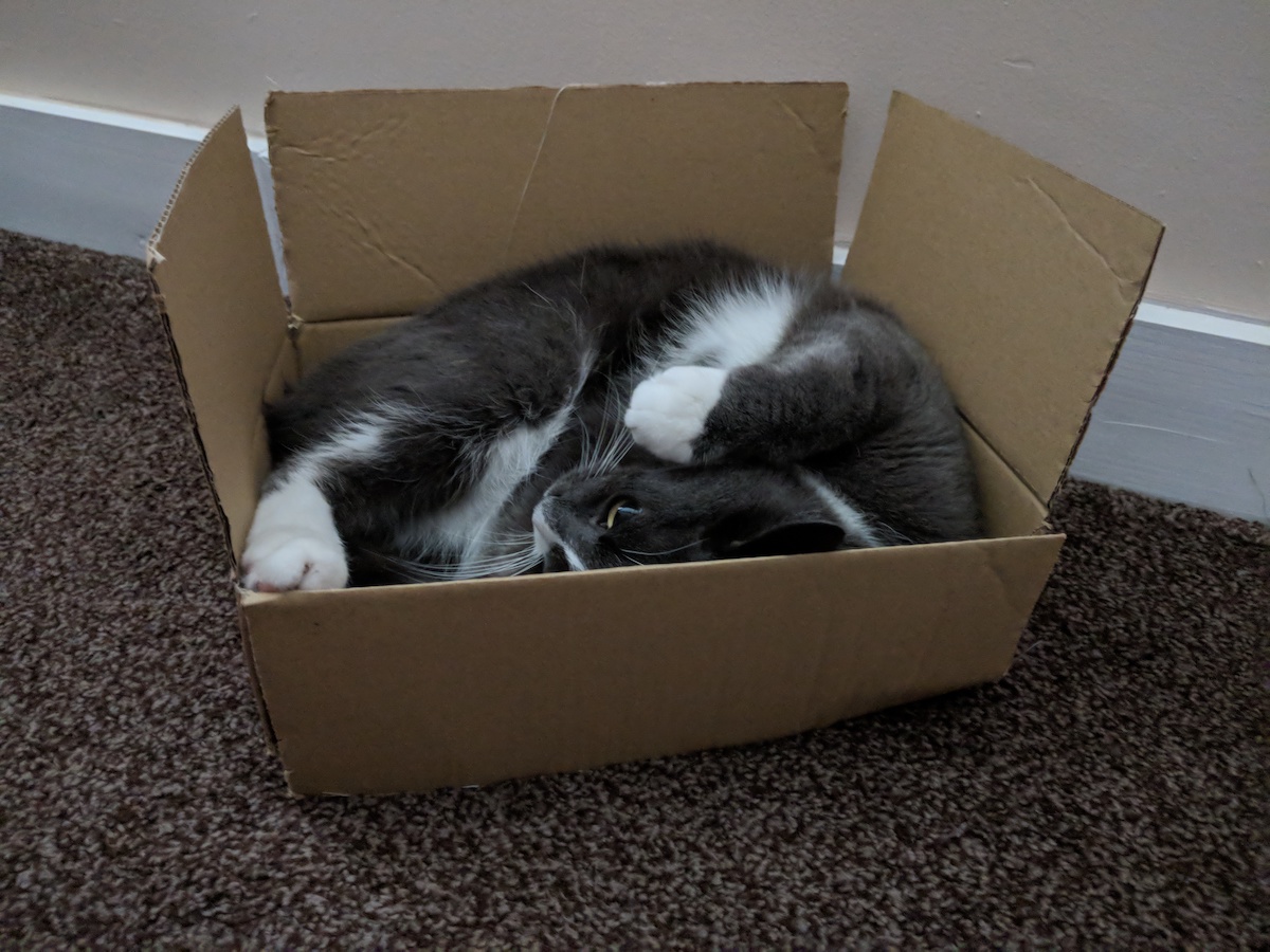 Kamino in a box 2018